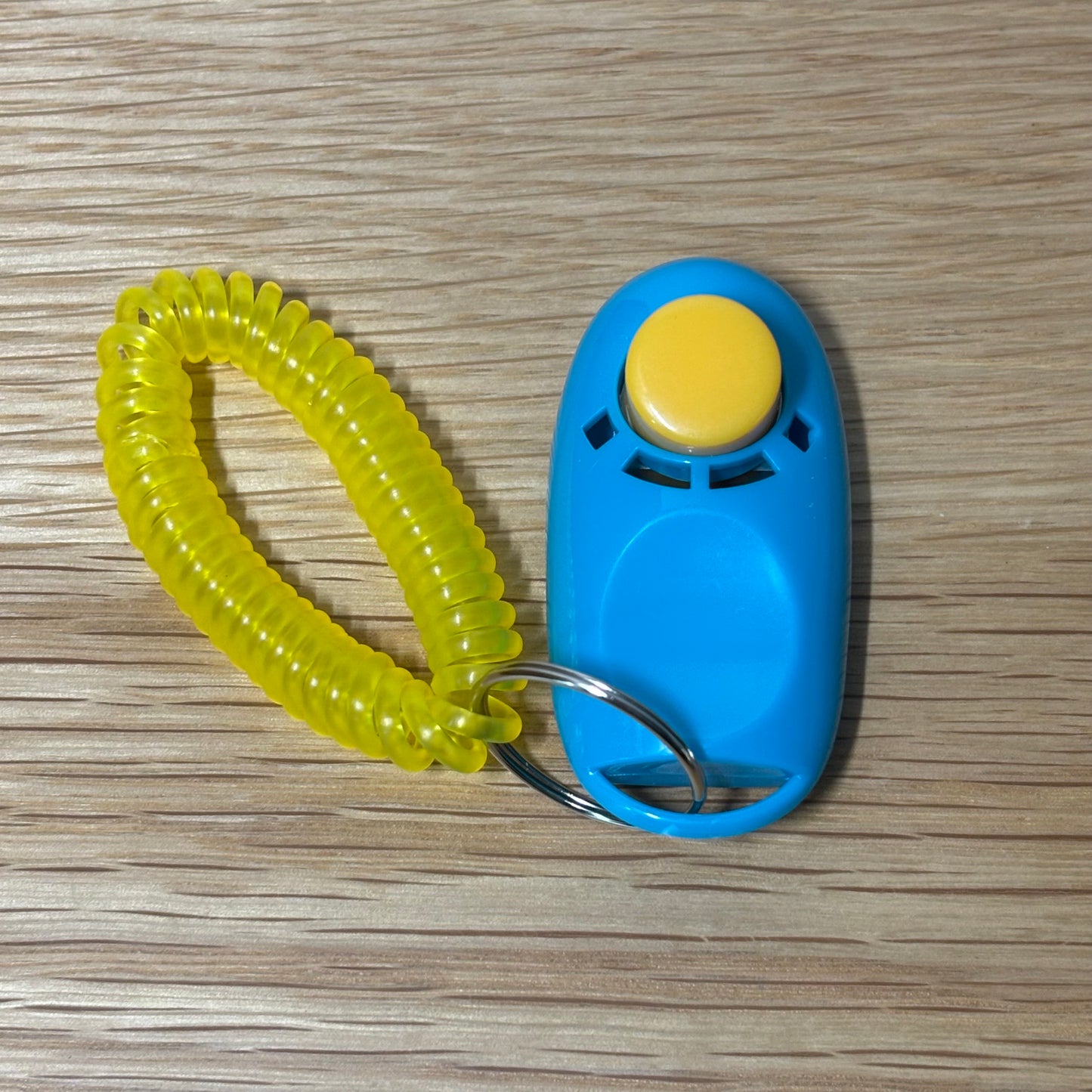 Bird Training Clicker and Target Stick - Best Behaved Birds