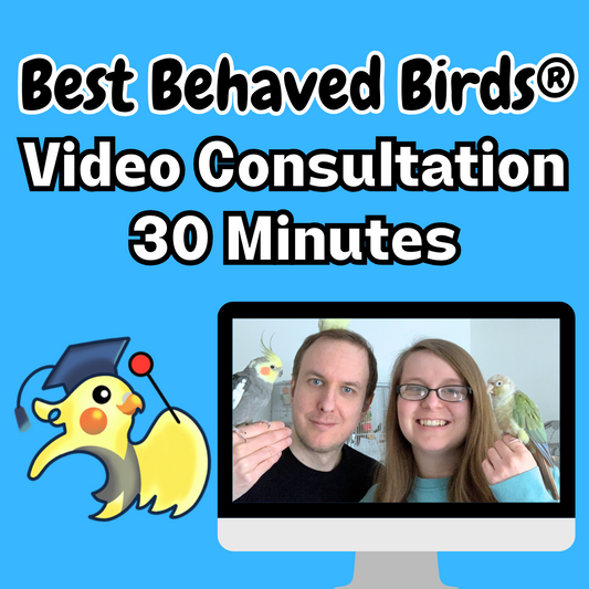 Parrot Training Video Consultation - 30 Minutes