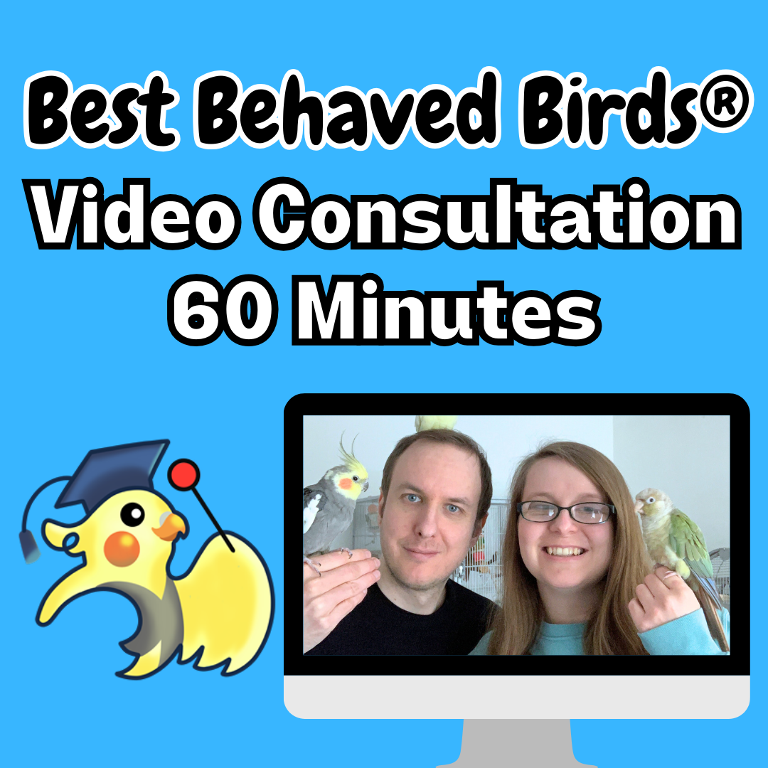 Parrot Training Video Consultation - 60 Minutes